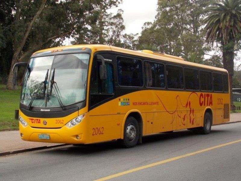 Nos encanta llevarte