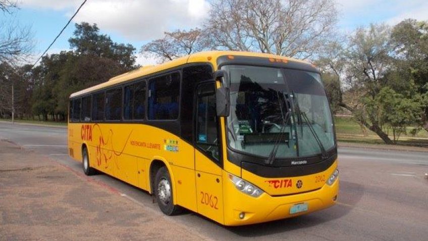 Nos encanta llevarte
